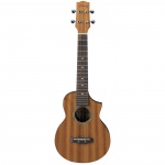 Укулеле Ibanez UEW5
