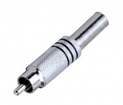 Тюльпан CD112