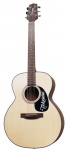 Акустическая гитара Takamine G220