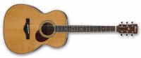 Акустическая гитара Ibanez AVM10 NT