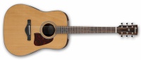 Акустическая гитара Ibanez AVD9 NT