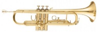 Труба TTC30L (TTC1C)