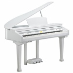 Цифровой рояль Kurzweil KAG-100 WHP