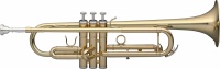 Труба Stagg WS-TR115