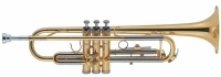 Труба J.MICHAEL TR-200A (P) Trumpet