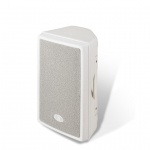 Акустическая система Dynacord D8W