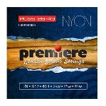 Струны для гитары Premiere Strings PCGS28-43