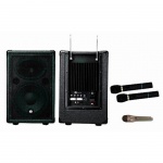 Акустическая система SHOW WA-2152+VXM298TS