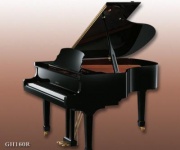 Рояль RITMULLER GH160R Ebony