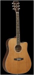 Электроакустическая гитара Вестерн гитара TANGLEWOOD TW28 CSN CE