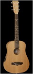 Электроакустическая гитара Вестерн гитара TANGLEWOOD TWR TE