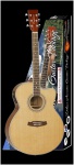 Электроакустическая гитара TANGLEWOOD DBT SJ CE NG