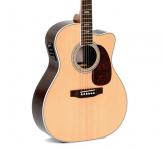 Электроакустическая гитара Гітара ак. Sigma Standart Series JTC-40E (Fishman Isys+) -