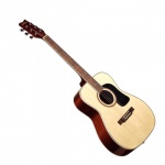 Акустическая гитара Washburn BA10PAC