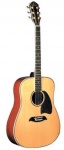 Акустическая гитара Washburn OG6S
