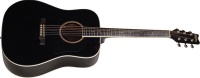 Акустическая гитара Washburn D10SB
