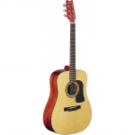 Акустическая гитара Washburn D10S NS