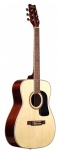 Акустическая гитара Washburn F10S