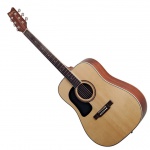 Акустическая гитара Washburn D10SLH