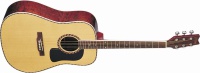 Акустическая гитара Washburn D13S