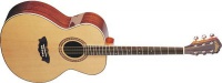 Акустическая гитара Washburn J12S