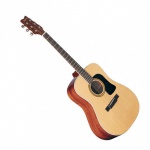 Акустическая гитара Washburn D10SOV