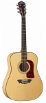 Акустическая гитара Washburn D80SW+
