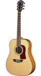 Акустическая гитара Washburn D84SW+