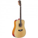 Акустическая гитара Washburn WD32SW