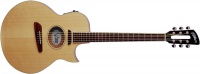 Электроакустическая гитара Washburn NV300+