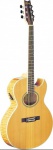 Электроакустическая гитара Washburn EA20SDL