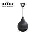 Инсталляционная акустика SOUND BALL 50W BLACK