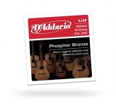 Струны для акустической гитары D'ADDARIO EJ39 Phosphor Bronze 12-String Medium
