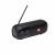 Портативная акустика JBLTUNER2BLK