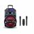 Караоке BIG310BAT USB/MP3/FM/BT/TWS + 2pcs VHF mic