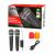 Радиомикрофоны DS02S KARAOKE SET тільки при покупці з активною акустикою