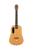 Трансакустическая гитара LAVA MUSIC LAVA ME Air Spruce Woodgrain Brown & Burlywood