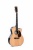 Электроакустическая гитара Sigma JTC-40E+