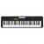Синтезатор Клавішний інструмент Casio CT-S100C