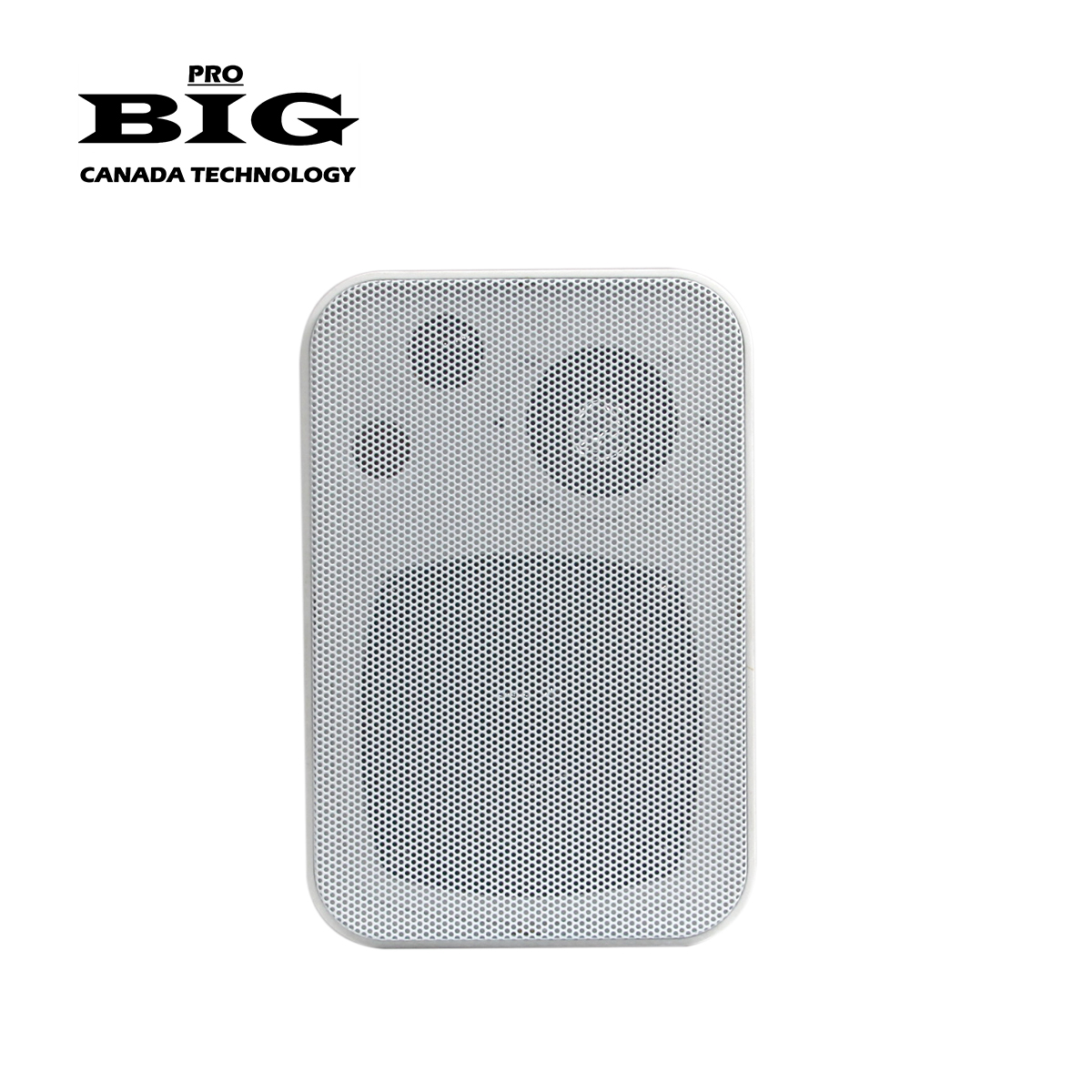 Акустична система BIG MSB401 WHITE100V/8Ohm