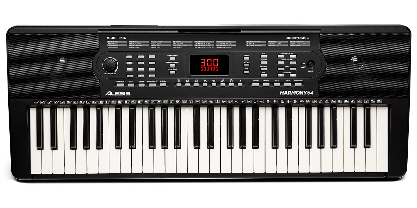 Синтезатор для учебы Alesis HARMONY54