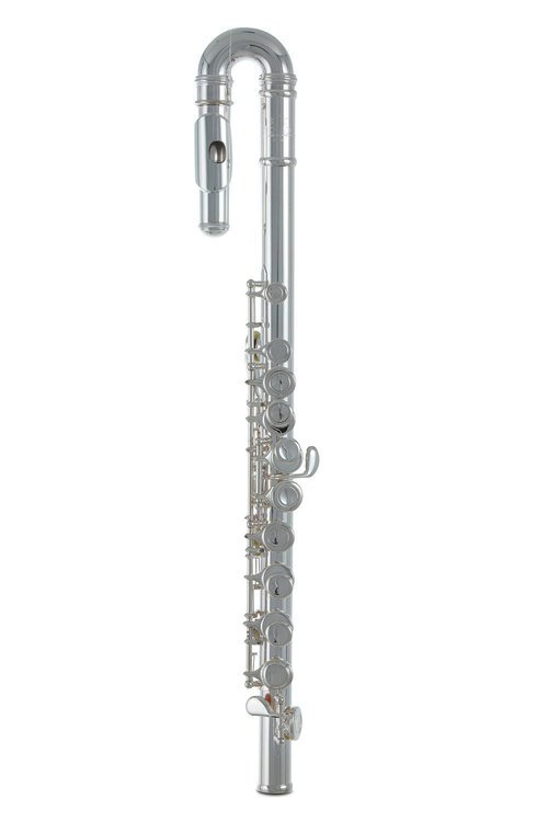 RB700390 Флейта Roy Benson FL-102 (дитяча)