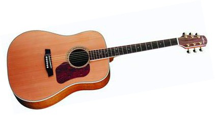 Акустическая гитара WALDEN D670