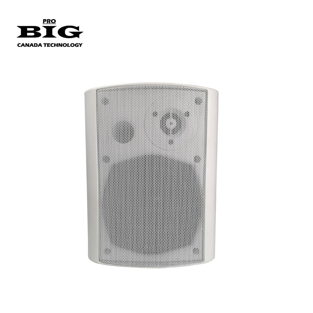 Акустическая система BIG MSB401 WHITE100V/8Ohm