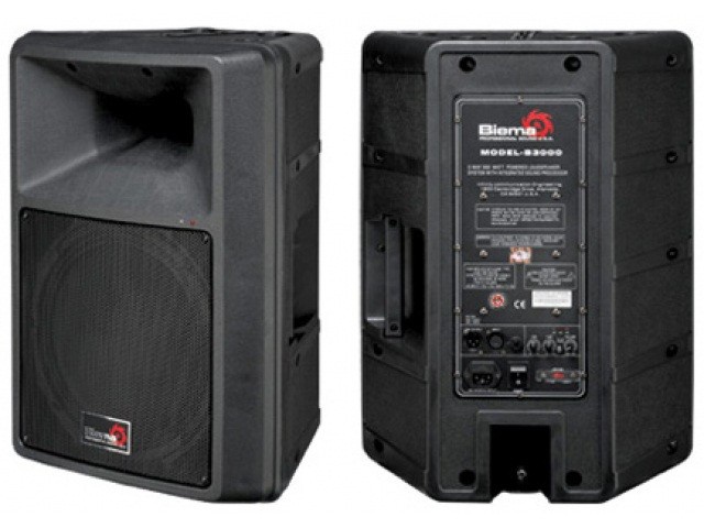 Акустическая система Biema B3000B