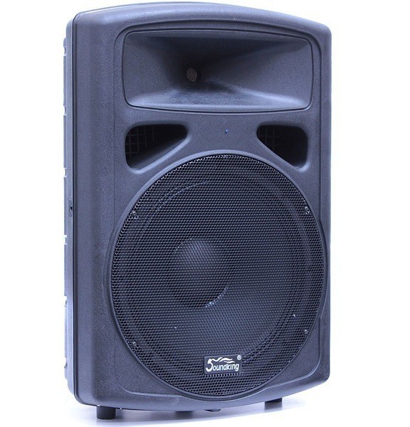Акустическая система SOUNDKING SKFP0212A