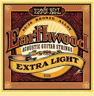 ERNIE BALL P02006