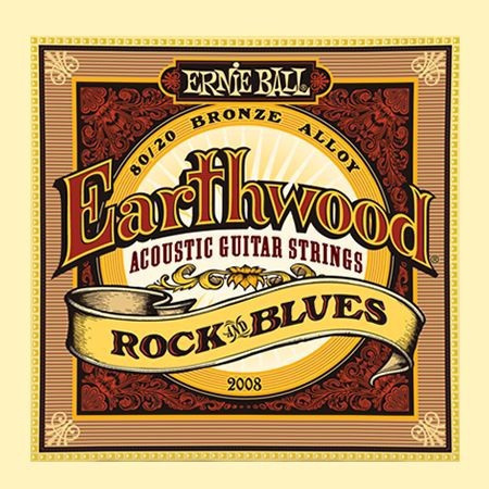 ERNIE BALL P02008