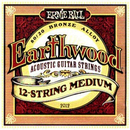 ERNIE BALL P02012