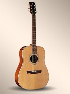 Акустическая гитара Alhambra W100B